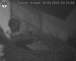 Capi_Dubne_20250510_032502.jpg