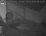 Capi_Dubne_20250510_041502.jpg