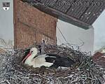 Capi_Dubne_20250510_081503.jpg