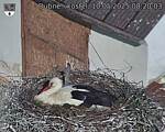 Capi_Dubne_20250510_082003.jpg