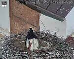 Capi_Dubne_20250510_084503.jpg