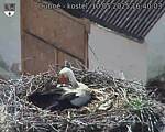 Capi_Dubne_20250510_164003.jpg