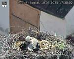 Capi_Dubne_20250510_173002.jpg