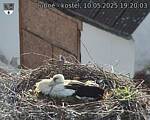 Capi_Dubne_20250510_192003.jpg