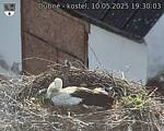 Capi_Dubne_20250510_193003.jpg