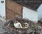 Capi_Dubne_20250510_202502.jpg