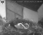Capi_Dubne_20250510_210003.jpg