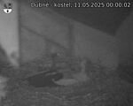 Capi_Dubne_20250511_000002.jpg