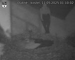 Capi_Dubne_20250511_011002.jpg