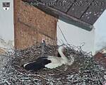 Capi_Dubne_20250511_090503.jpg