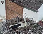 Capi_Dubne_20250511_091503.jpg