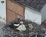 Capi_Dubne_20250511_120002.jpg