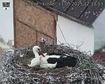 Capi_Dubne_20250511_121003.jpg