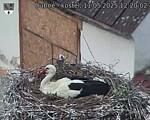 Capi_Dubne_20250511_122002.jpg