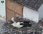 Capi_Dubne_20250511_123002.jpg
