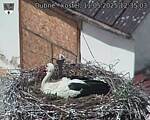 Capi_Dubne_20250511_123503.jpg
