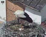 Capi_Dubne_20250511_124002.jpg