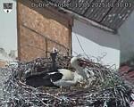 Capi_Dubne_20250511_133003.jpg