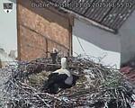 Capi_Dubne_20250511_135503.jpg