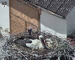 Capi_Dubne_20250511_144003.jpg