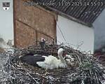 Capi_Dubne_20250511_145503.jpg