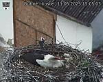Capi_Dubne_20250511_150503.jpg