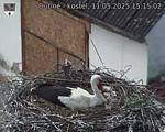 Capi_Dubne_20250511_151502.jpg