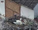 Capi_Dubne_20250511_153003.jpg
