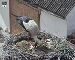 Capi_Dubne_20250511_153503.jpg
