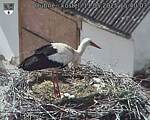 Capi_Dubne_20250511_154003.jpg