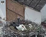 Capi_Dubne_20250511_154503.jpg