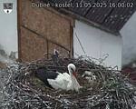 Capi_Dubne_20250511_160002.jpg