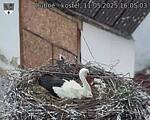 Capi_Dubne_20250511_160503.jpg