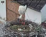 Capi_Dubne_20250511_161502.jpg