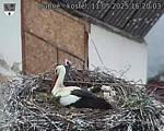 Capi_Dubne_20250511_162003.jpg