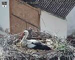 Capi_Dubne_20250511_163503.jpg