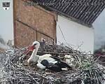 Capi_Dubne_20250511_164003.jpg