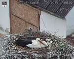 Capi_Dubne_20250511_170002.jpg