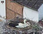 Capi_Dubne_20250511_171503.jpg