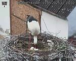 Capi_Dubne_20250511_172002.jpg