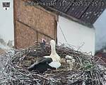 Capi_Dubne_20250511_172503.jpg