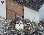 Capi_Dubne_20250511_173502.jpg