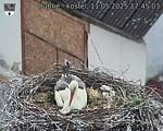 Capi_Dubne_20250511_174503.jpg
