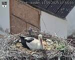 Capi_Dubne_20250511_175503.jpg