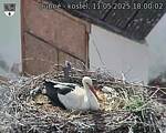 Capi_Dubne_20250511_180002.jpg