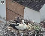 Capi_Dubne_20250511_180503.jpg