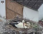 Capi_Dubne_20250511_181003.jpg