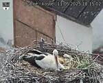 Capi_Dubne_20250511_181502.jpg