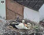 Capi_Dubne_20250511_182502.jpg