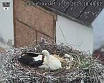 Capi_Dubne_20250511_184002.jpg